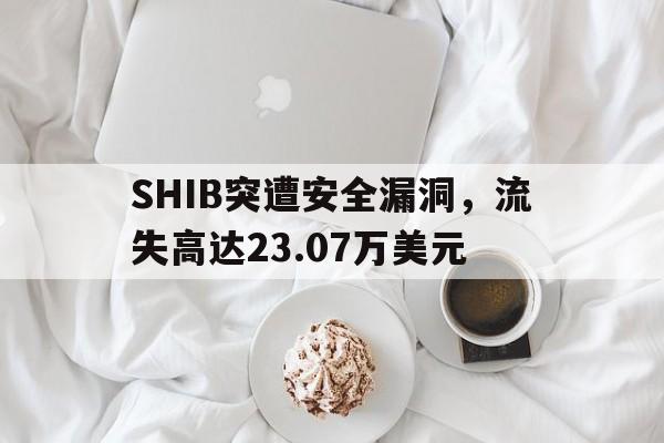 开云体育下载APP-SHIB突遭安全漏洞，流失高达23.07万美元的简单介绍